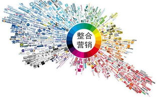 晋中发展新引擎 招商加盟与技术服务的融合之道